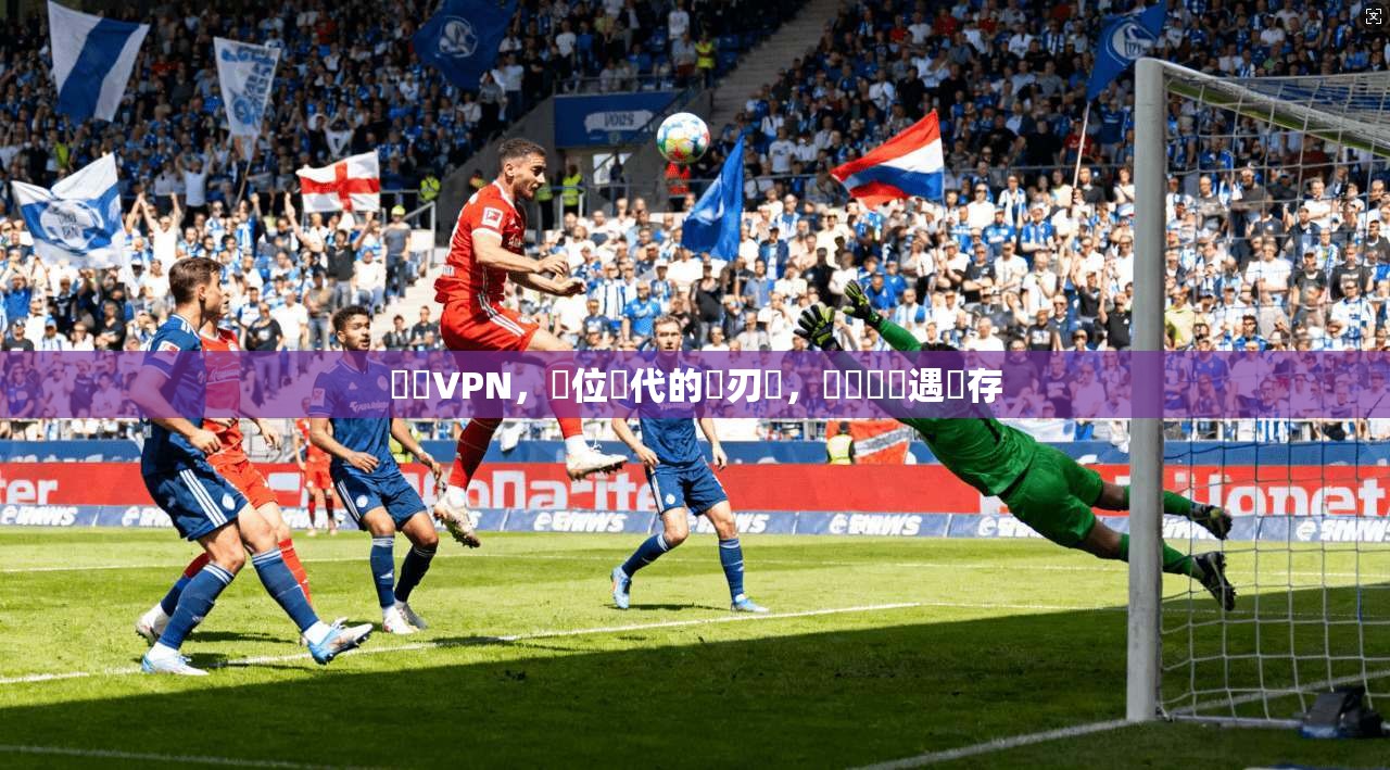 網賺VPN，數位時代的雙刃劍，風險與機遇並存