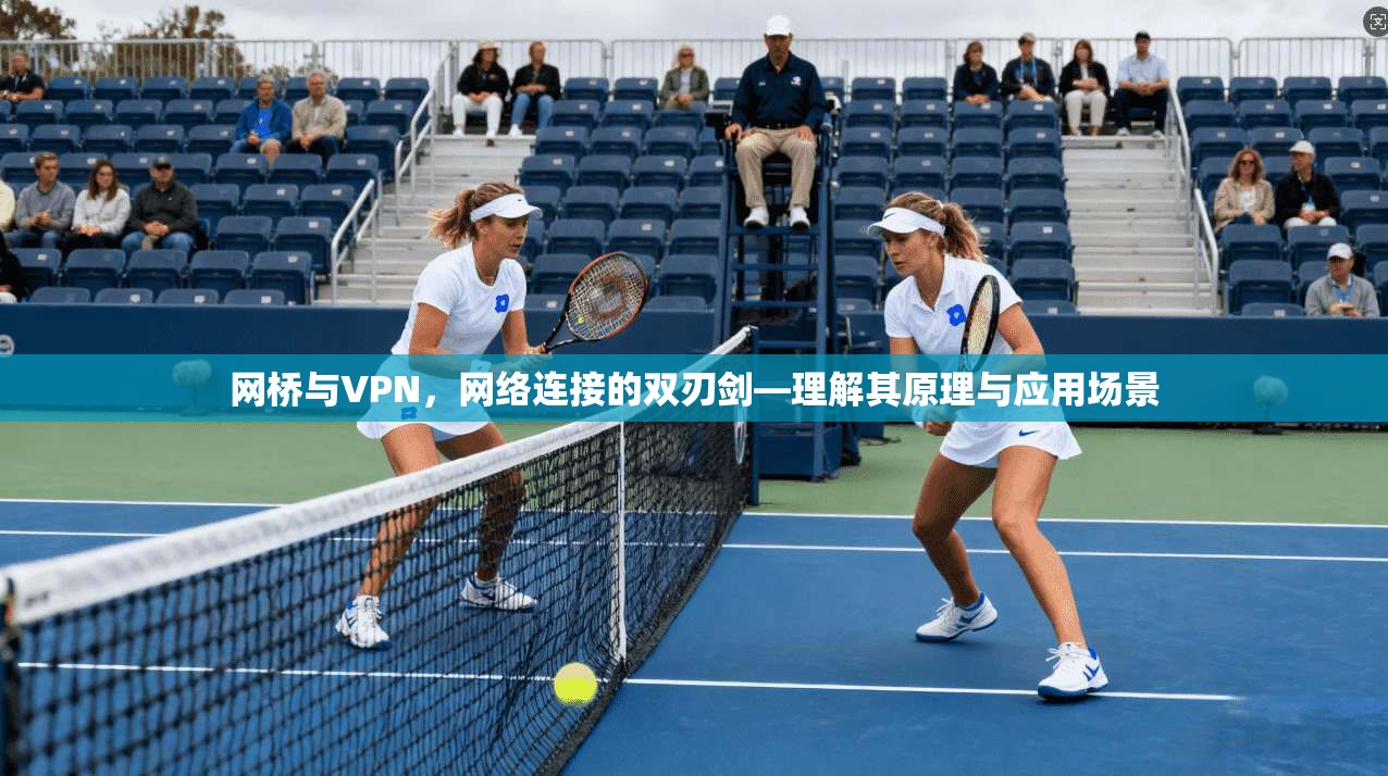 网桥与VPN,网络连接的双刃剑—理解其原理与应用场景