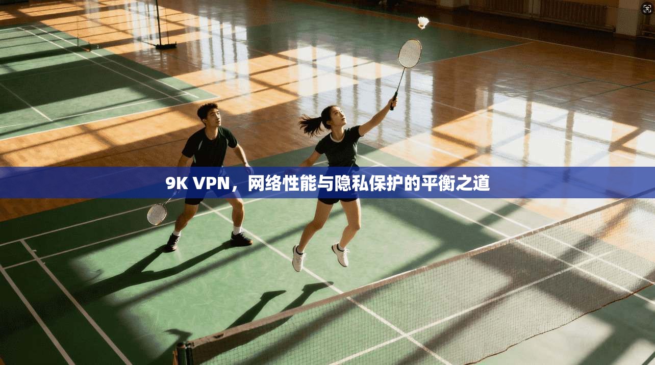 9K VPN，网络性能与隐私保护的平衡之道