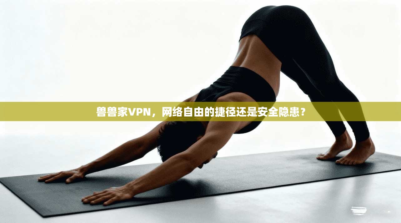 兽兽家VPN，网络自由的捷径还是安全隐患？