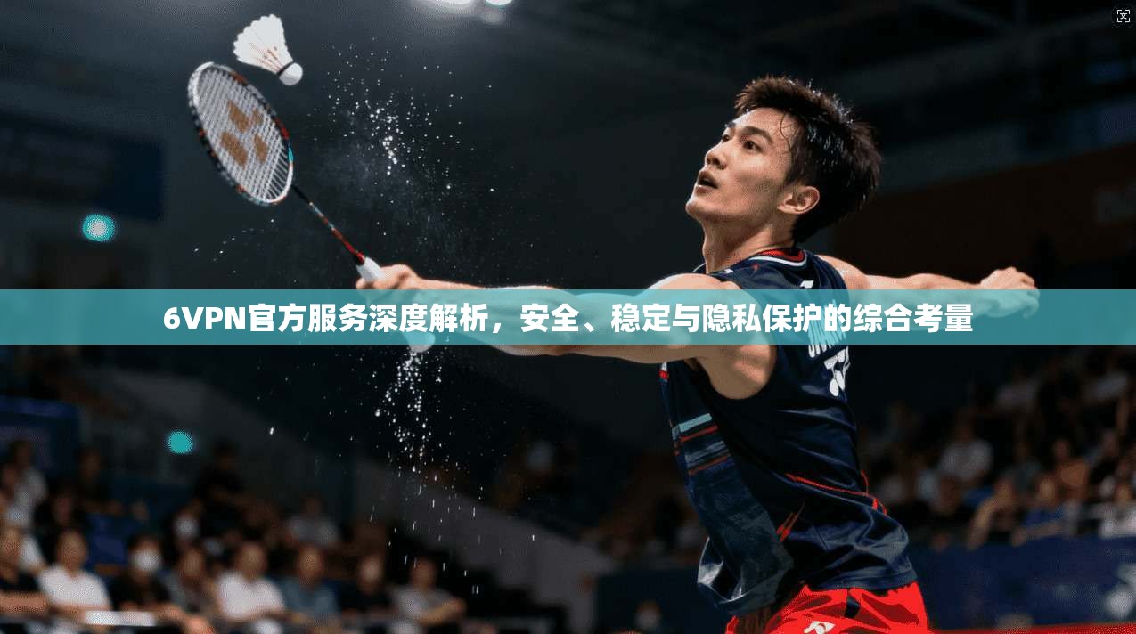 6VPN官方服务深度解析,安全、稳定与隐私保护的综合考量
