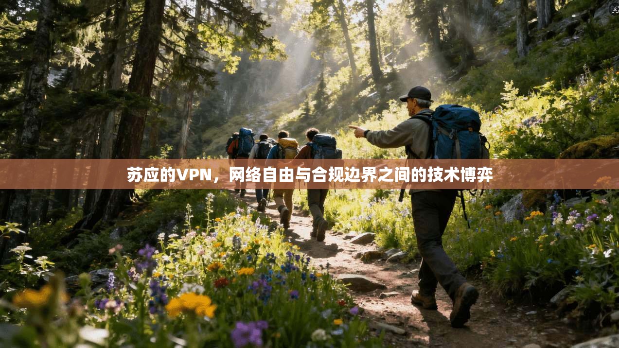 苏应的VPN，网络自由与合规边界之间的技术博弈