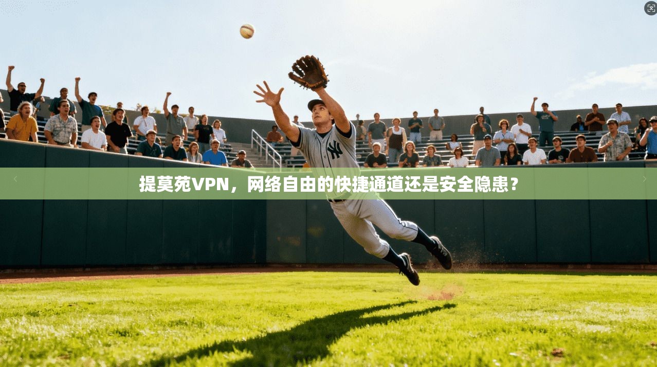 提莫苑VPN，网络自由的快捷通道还是安全隐患？