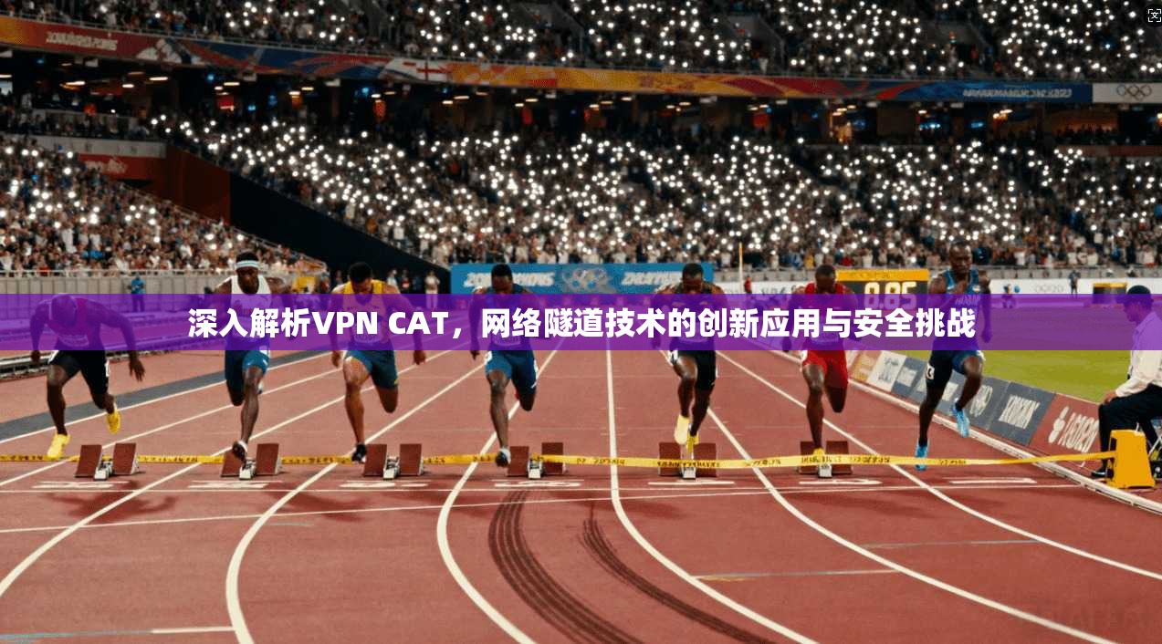 深入解析VPN CAT，网络隧道技术的创新应用与安全挑战