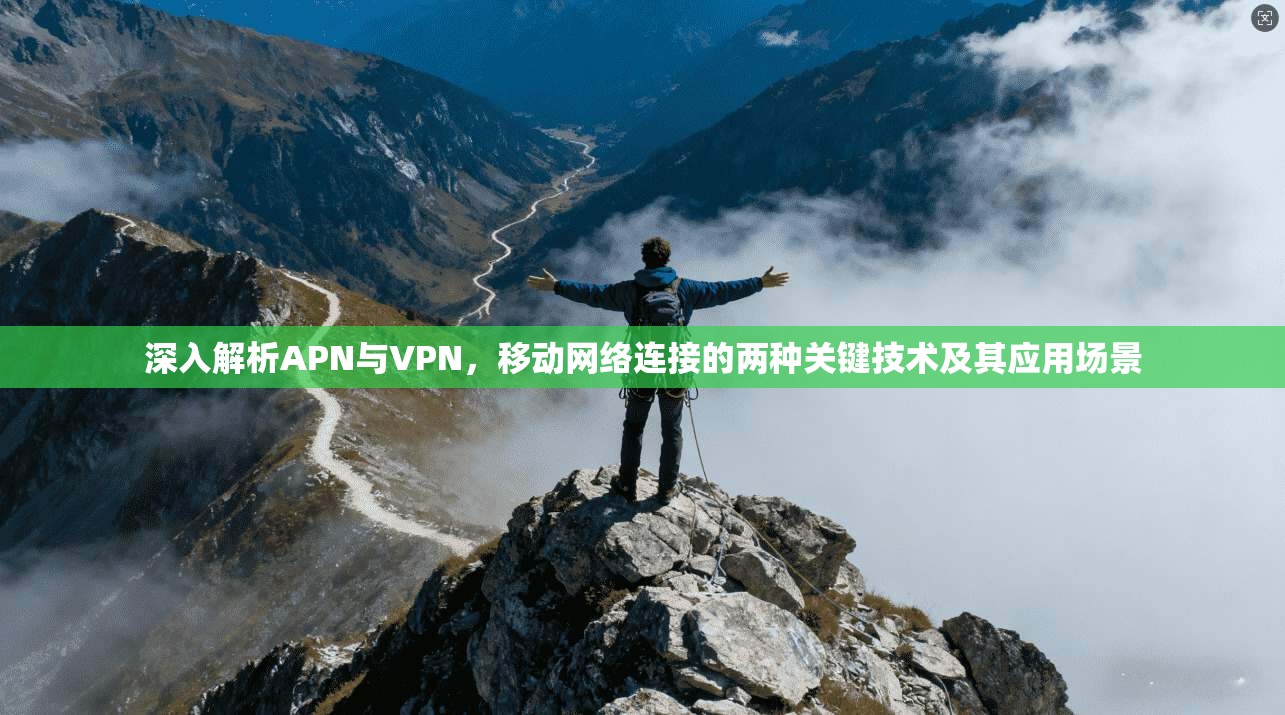 深入解析APN与VPN，移动网络连接的两种关键技术及其应用场景