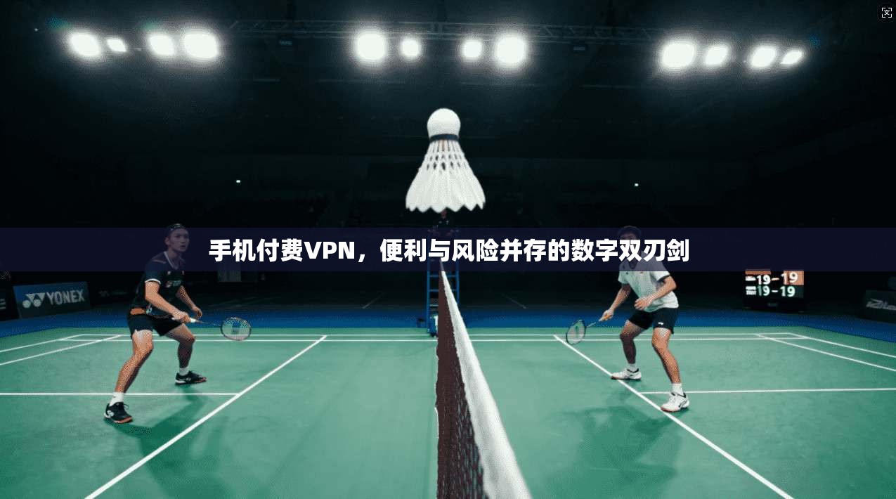 手机付费VPN，便利与风险并存的数字双刃剑