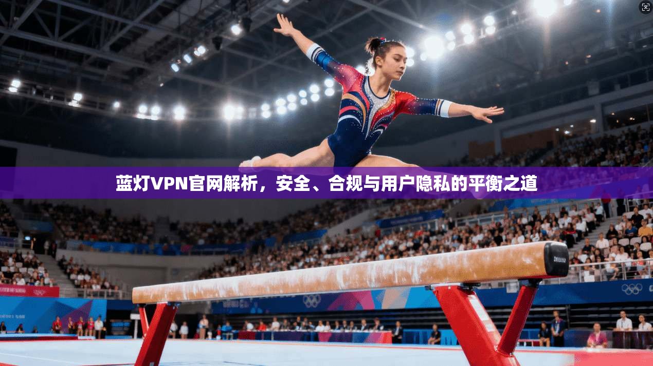蓝灯VPN官网解析，安全、合规与用户隐私的平衡之道