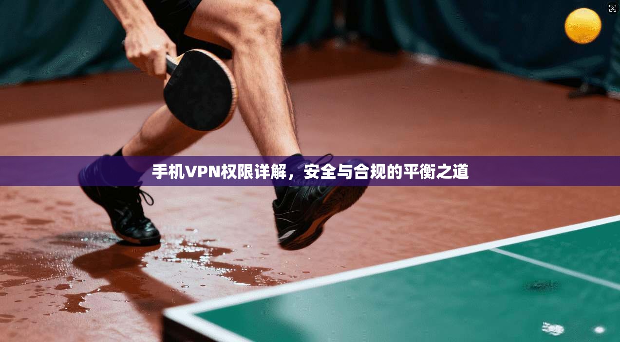 手机VPN权限详解，安全与合规的平衡之道
