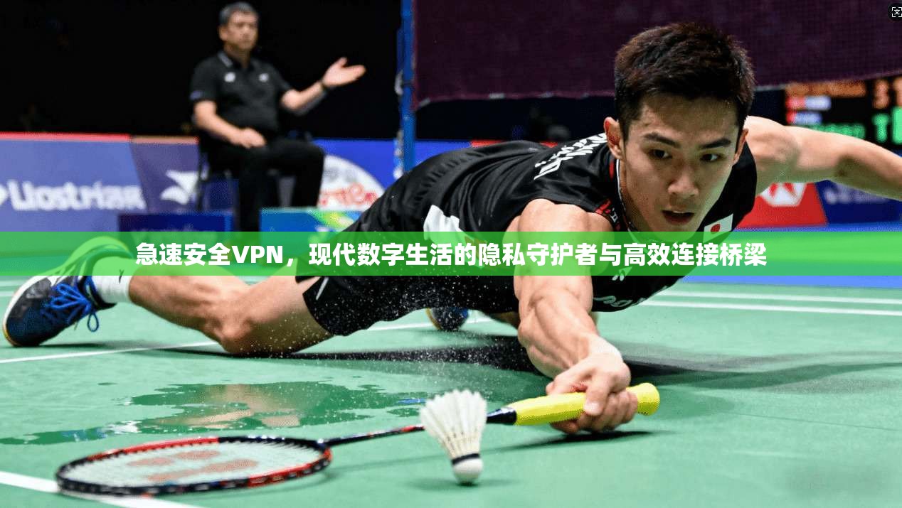 急速安全VPN，现代数字生活的隐私守护者与高效连接桥梁