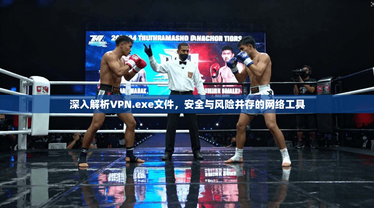 深入解析VPN.exe文件,安全与风险并存的网络工具