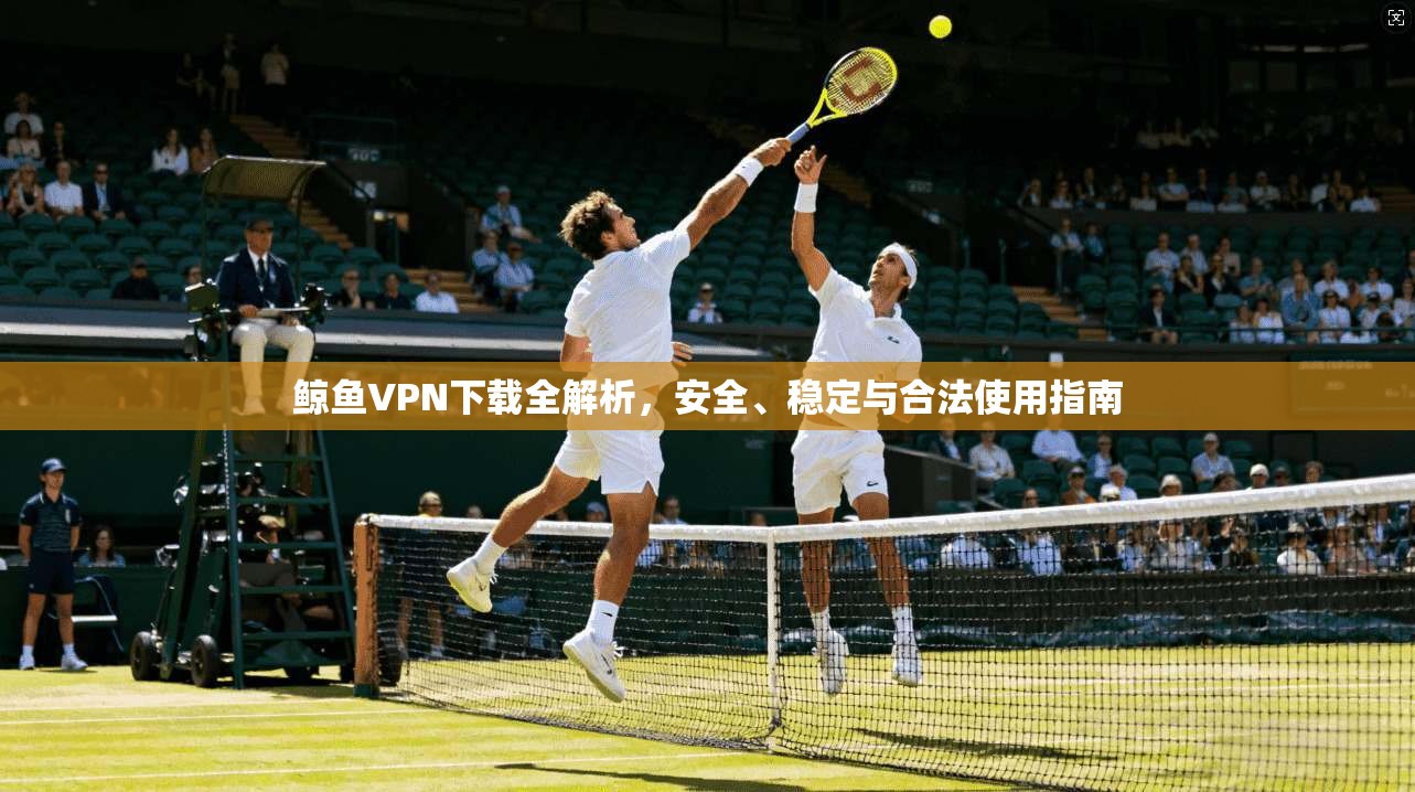 鲸鱼VPN下载全解析，安全、稳定与合法使用指南