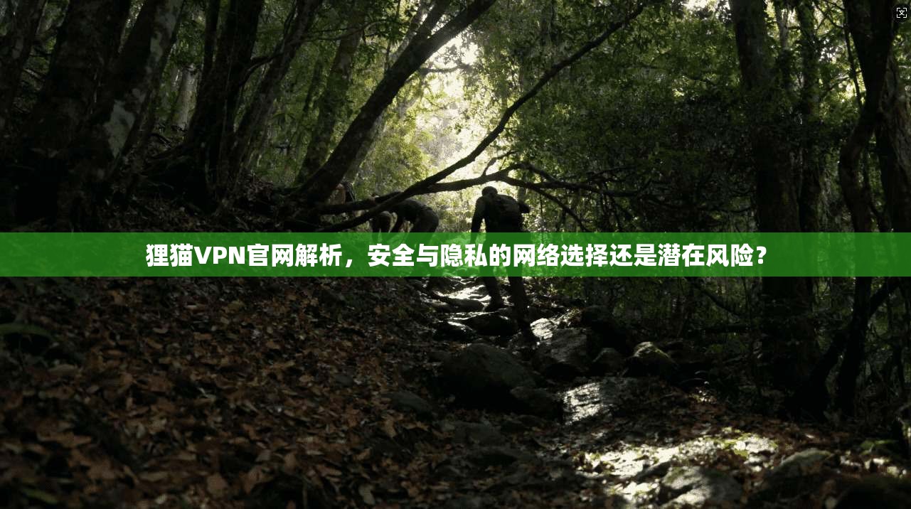 狸猫VPN官网解析，安全与隐私的网络选择还是潜在风险？