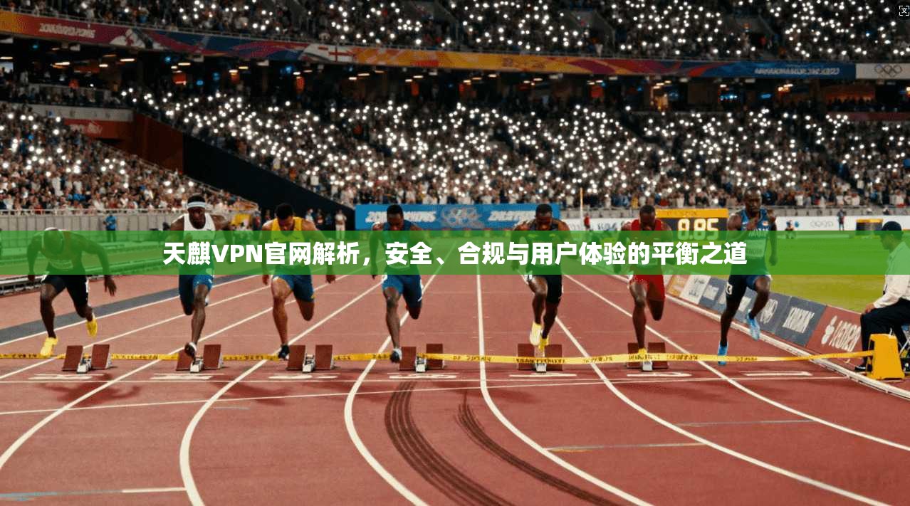 天麒VPN官网解析，安全、合规与用户体验的平衡之道