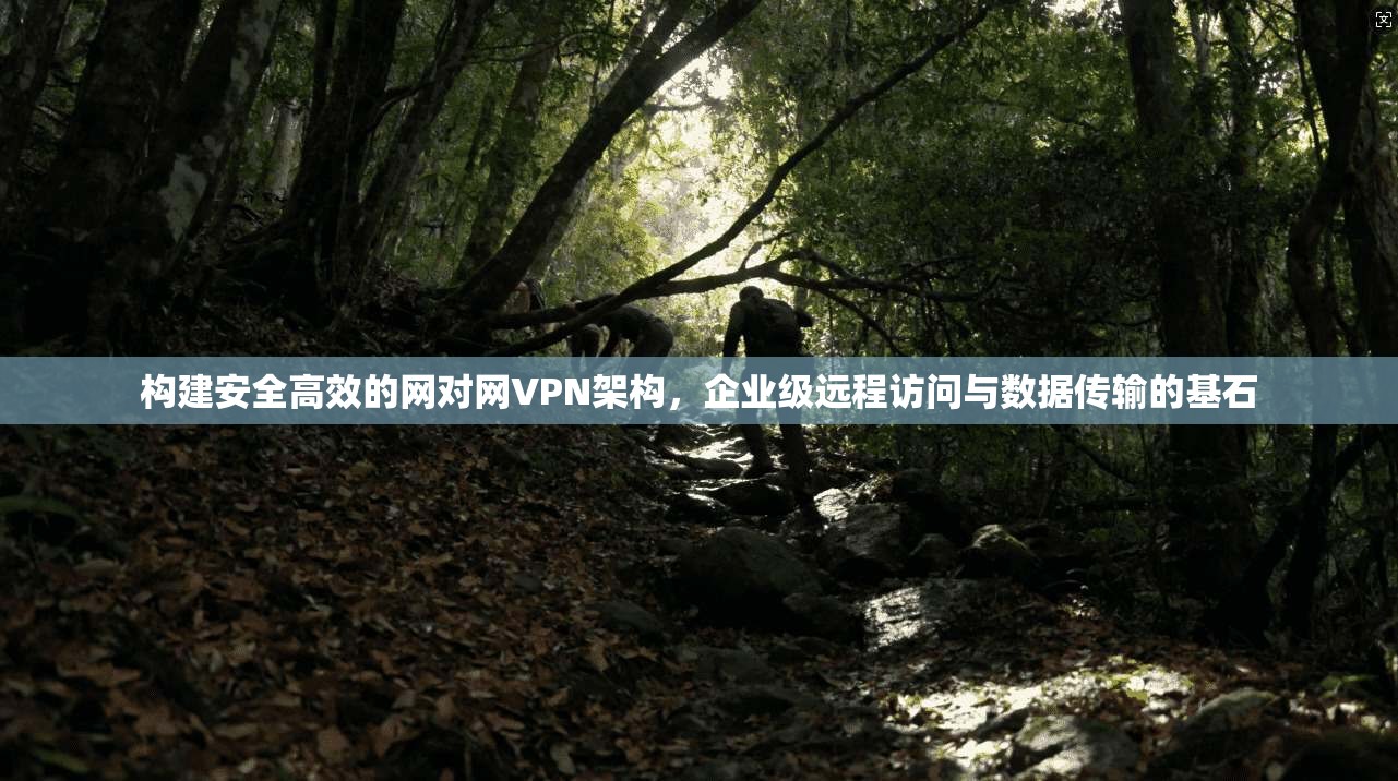构建安全高效的网对网VPN架构，企业级远程访问与数据传输的基石