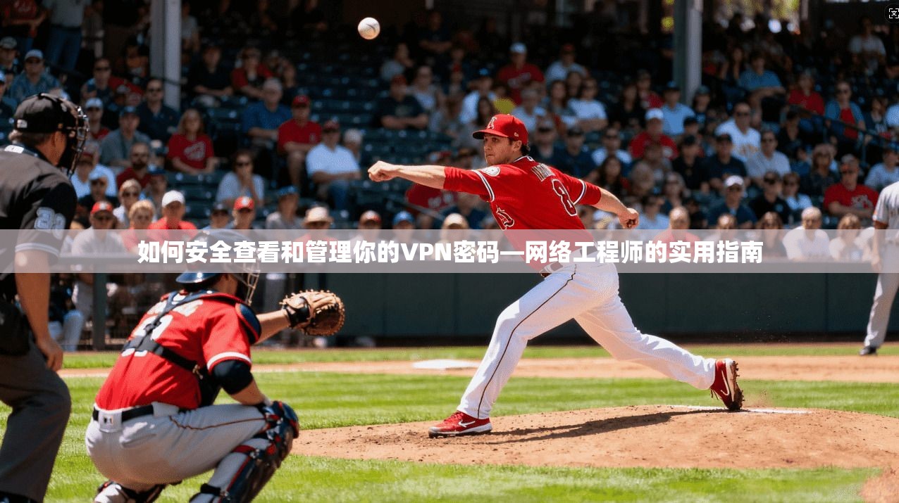 如何安全查看和管理你的VPN密码—网络工程师的实用指南