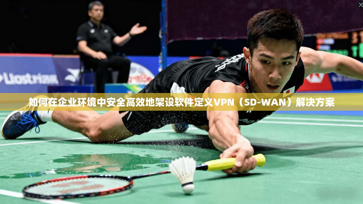 如何在企业环境中安全高效地架设软件定义VPN(SD-WAN)解决方案