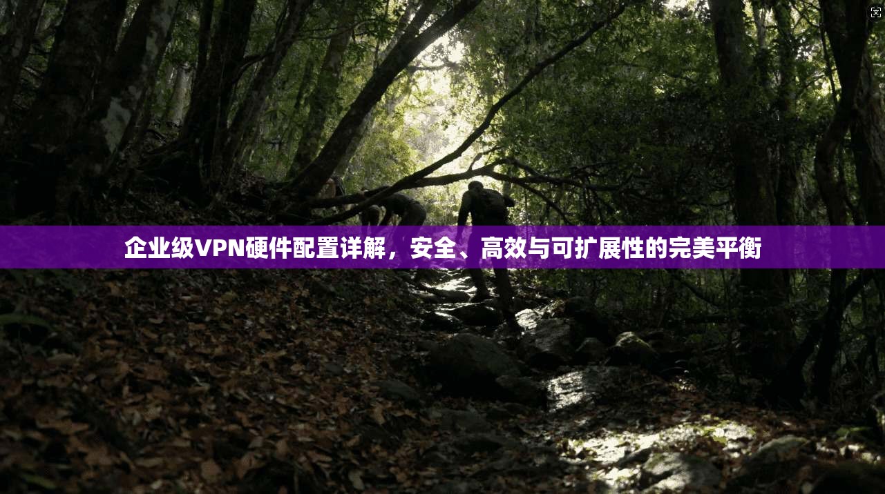 企业级VPN硬件配置详解,安全、高效与可扩展性的完美平衡