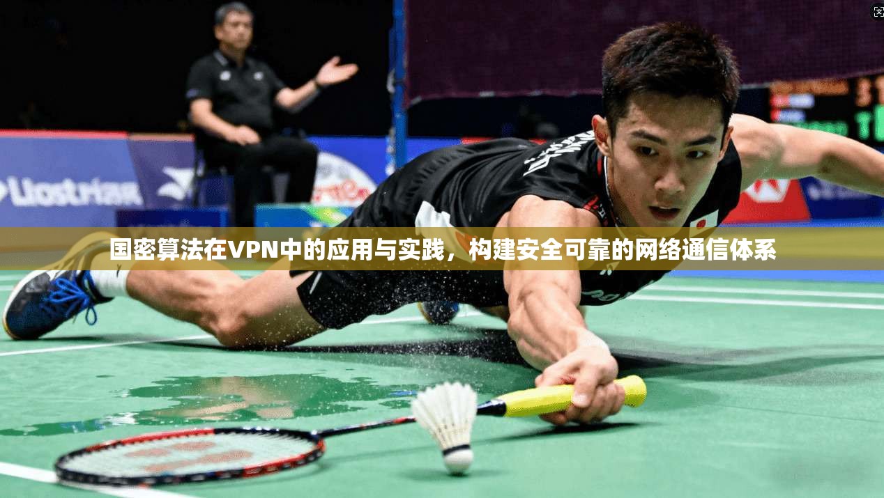 国密算法在VPN中的应用与实践,构建安全可靠的网络通信体系