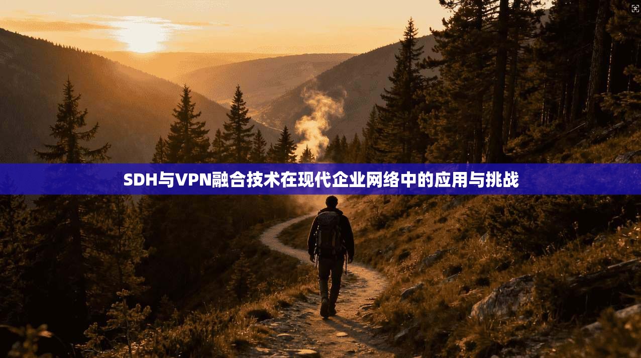 SDH与VPN融合技术在现代企业网络中的应用与挑战