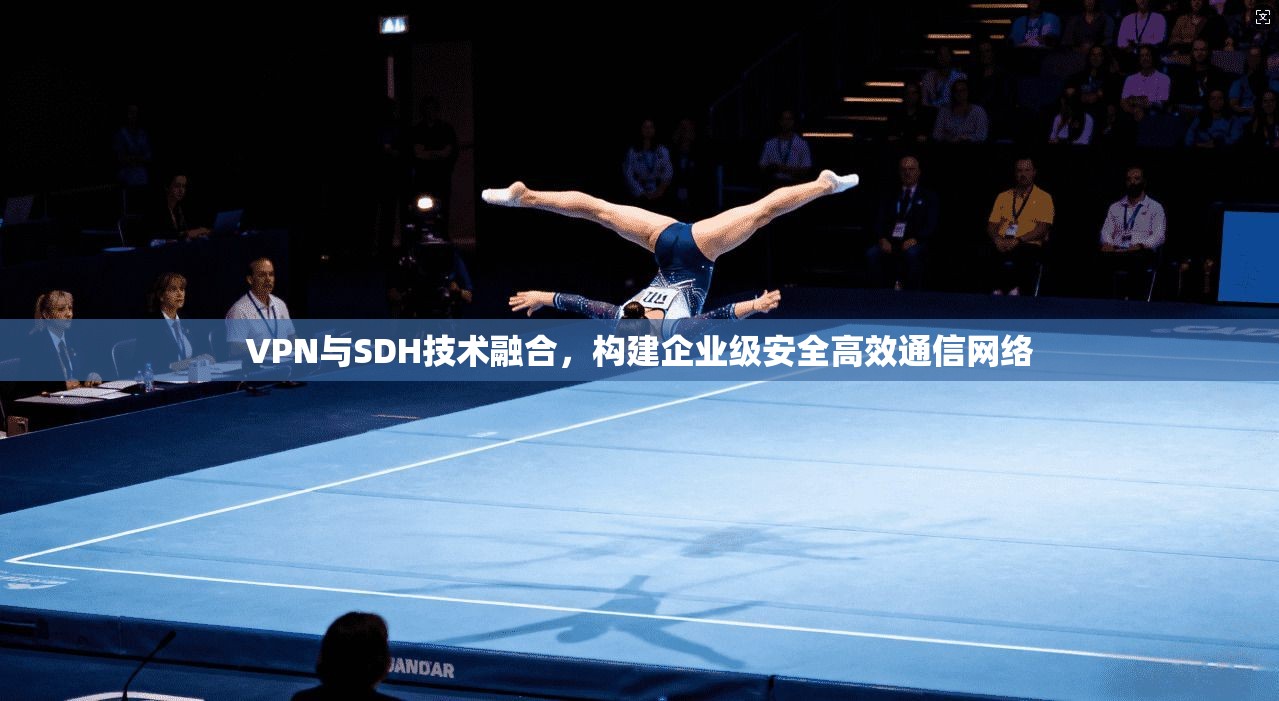 VPN与SDH技术融合，构建企业级安全高效通信网络