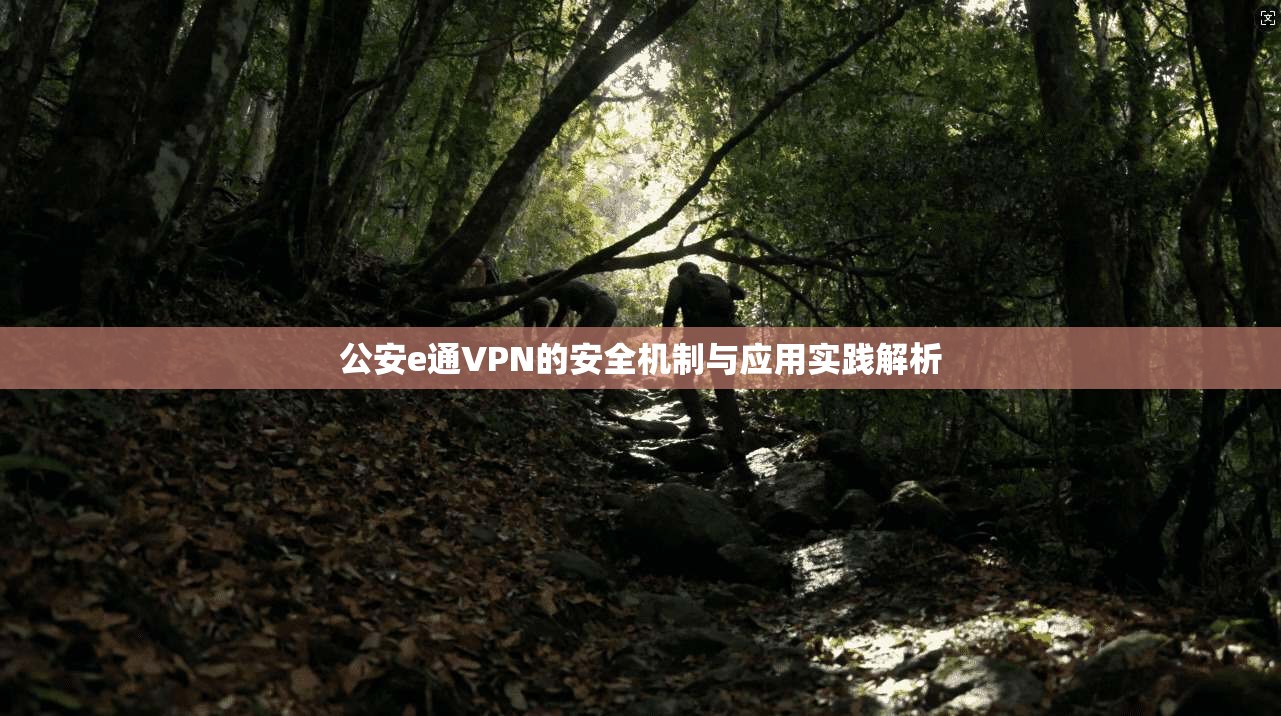 公安e通VPN的安全机制与应用实践解析