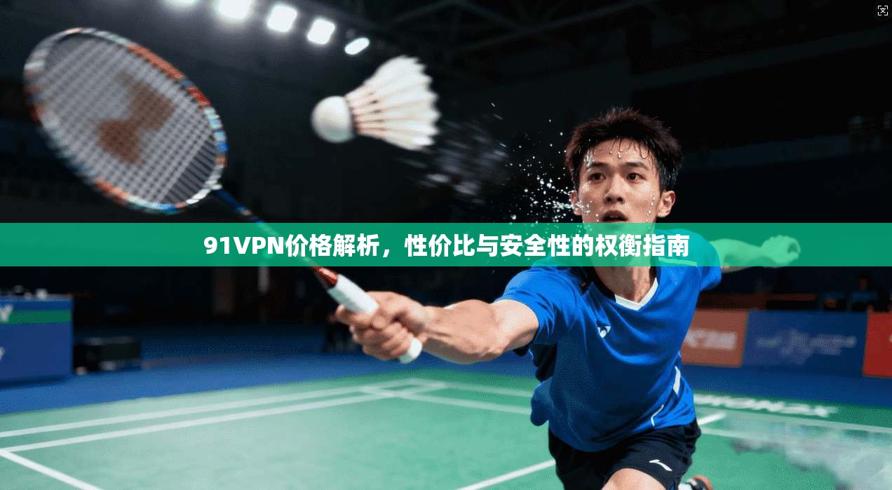 91VPN价格解析,性价比与安全性的权衡指南