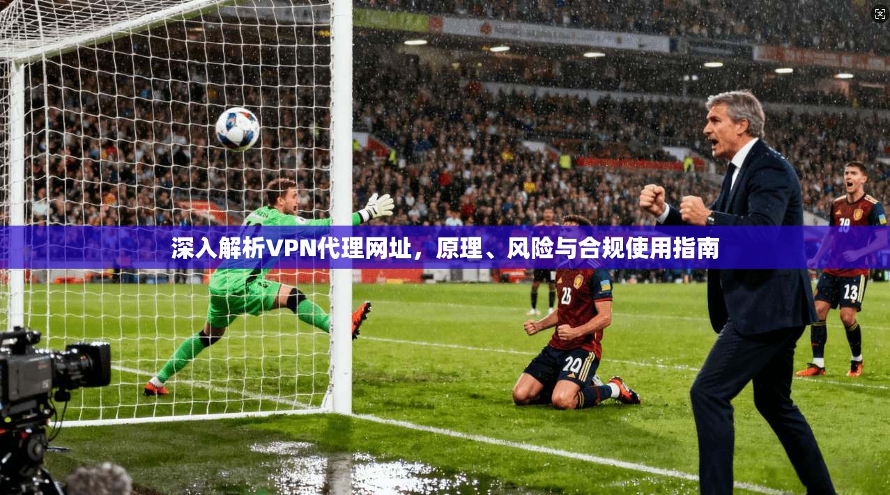 深入解析VPN代理网址,原理、风险与合规使用指南