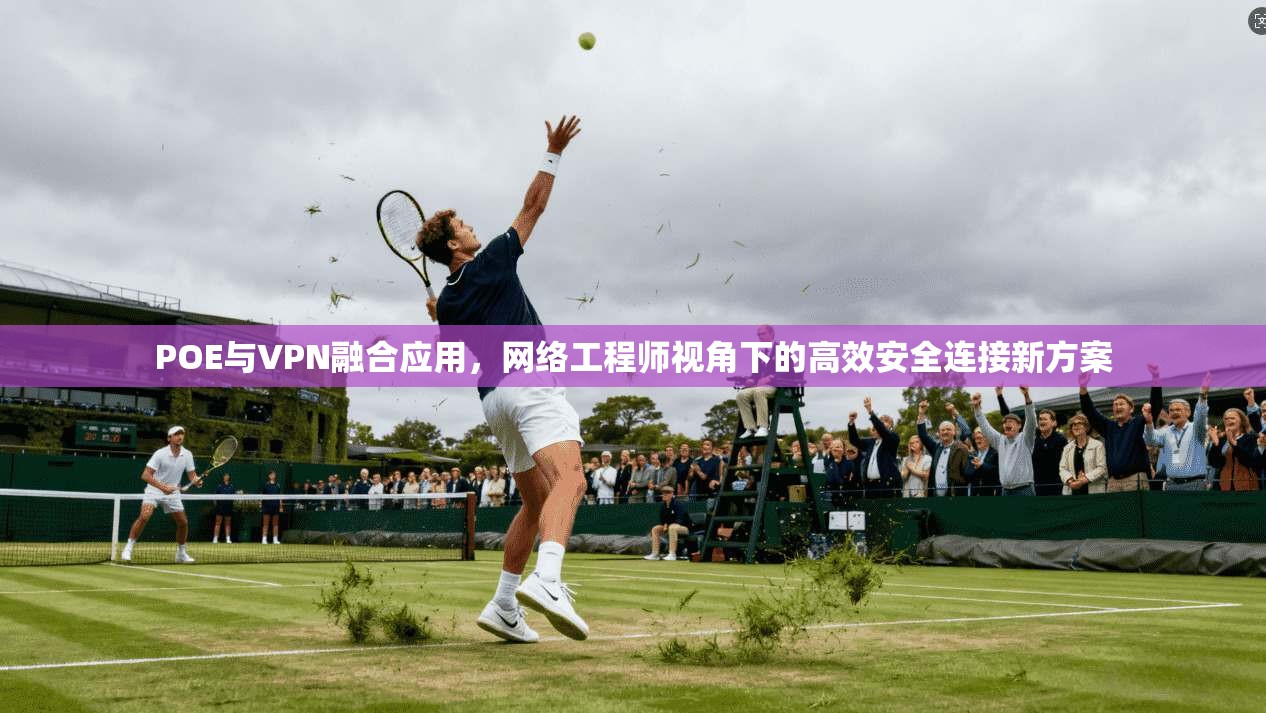 POE与VPN融合应用，网络工程师视角下的高效安全连接新方案