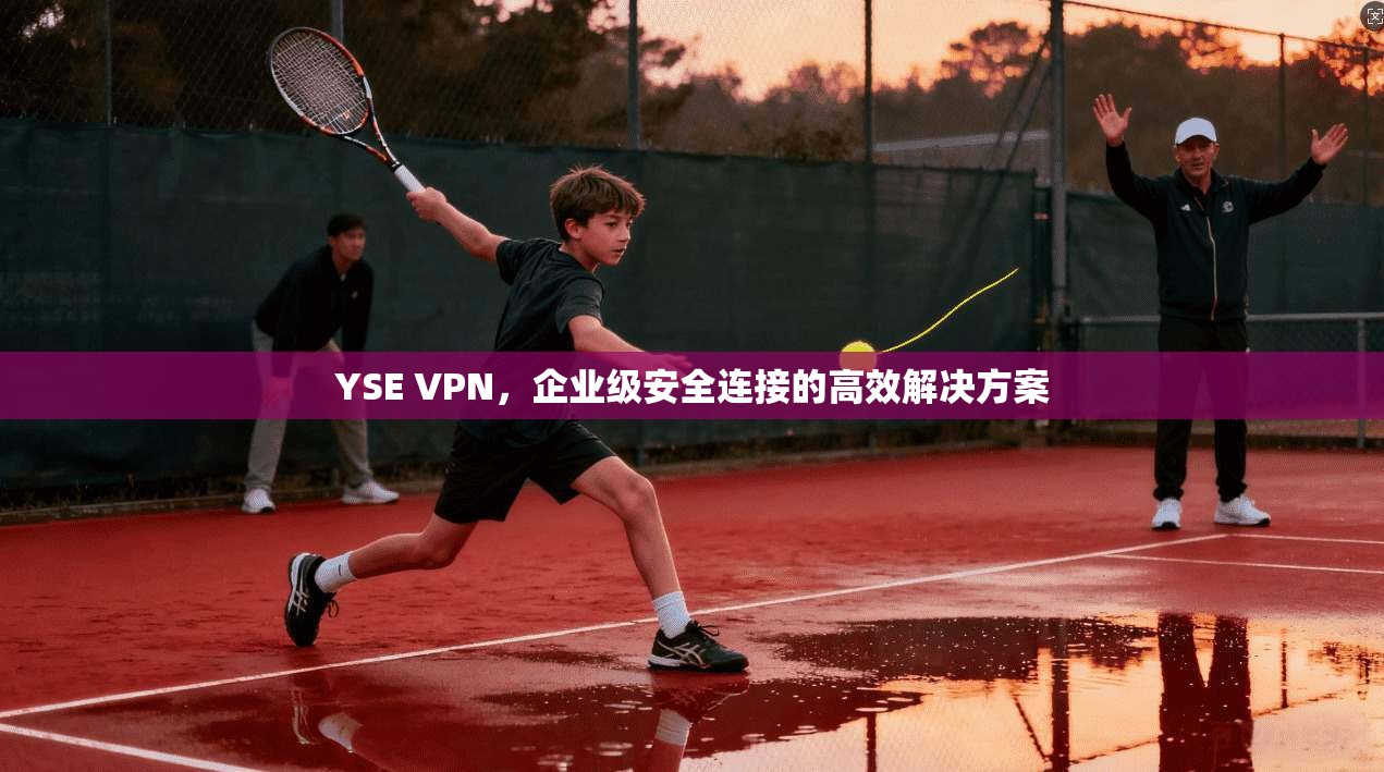 YSE VPN,企业级安全连接的高效解决方案