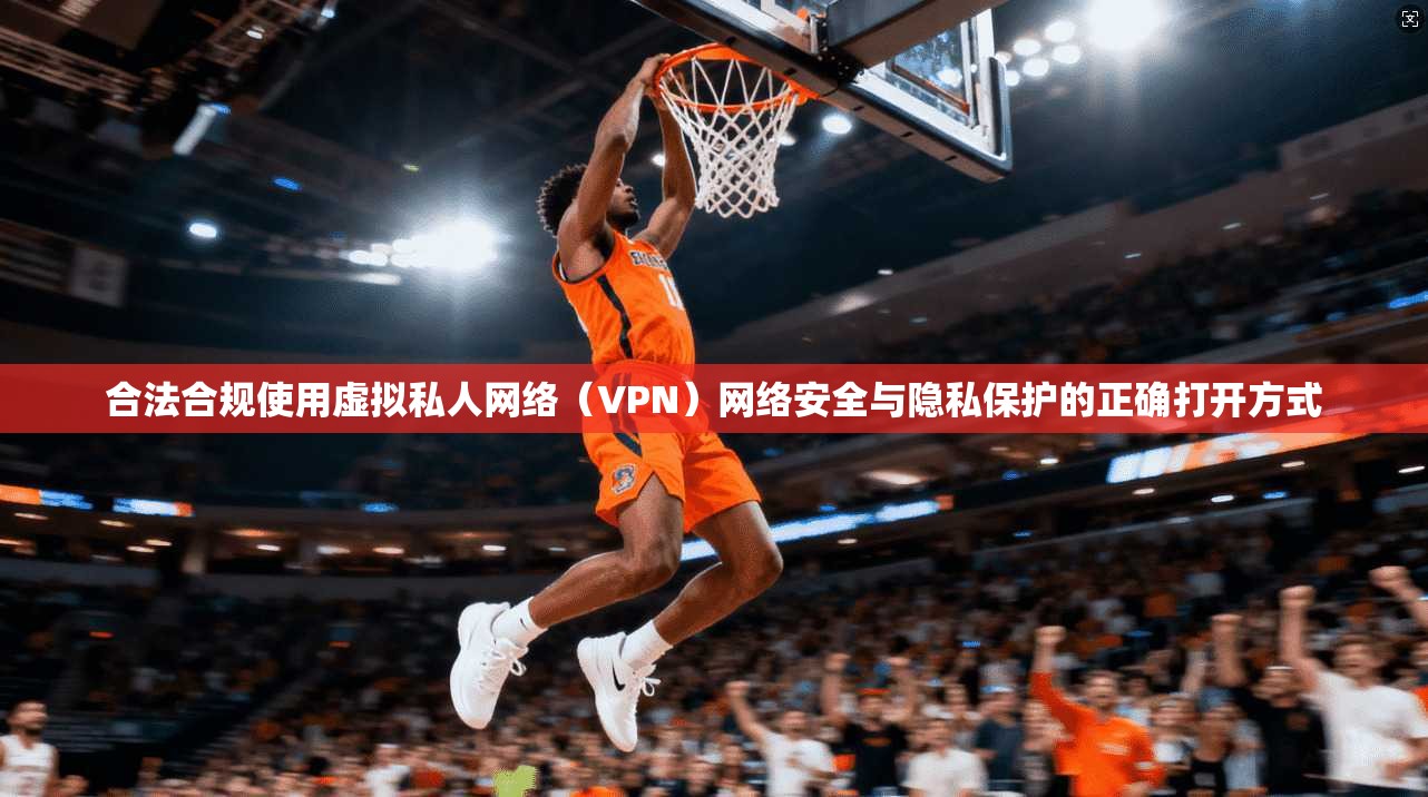 合法合规使用虚拟私人网络（VPN）网络安全与隐私保护的正确打开方式