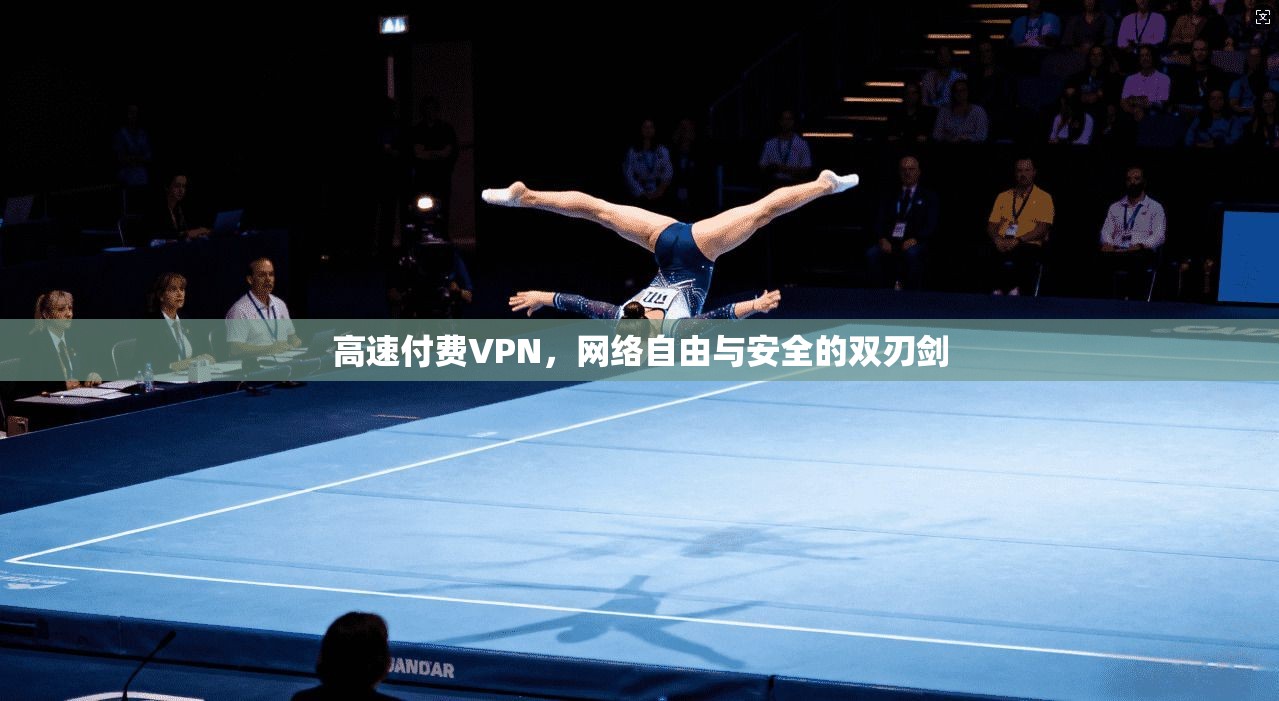 高速付费VPN,网络自由与安全的双刃剑