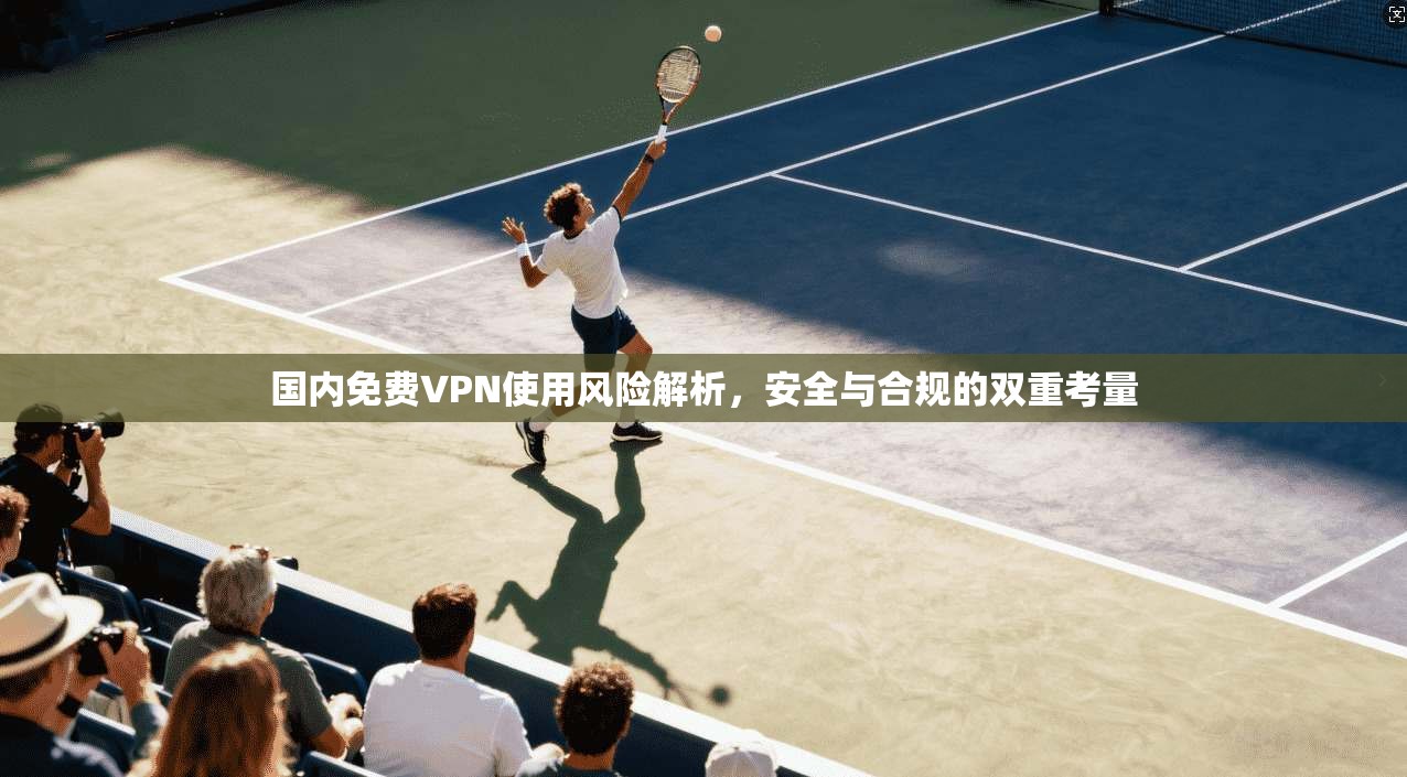 国内免费VPN使用风险解析，安全与合规的双重考量
