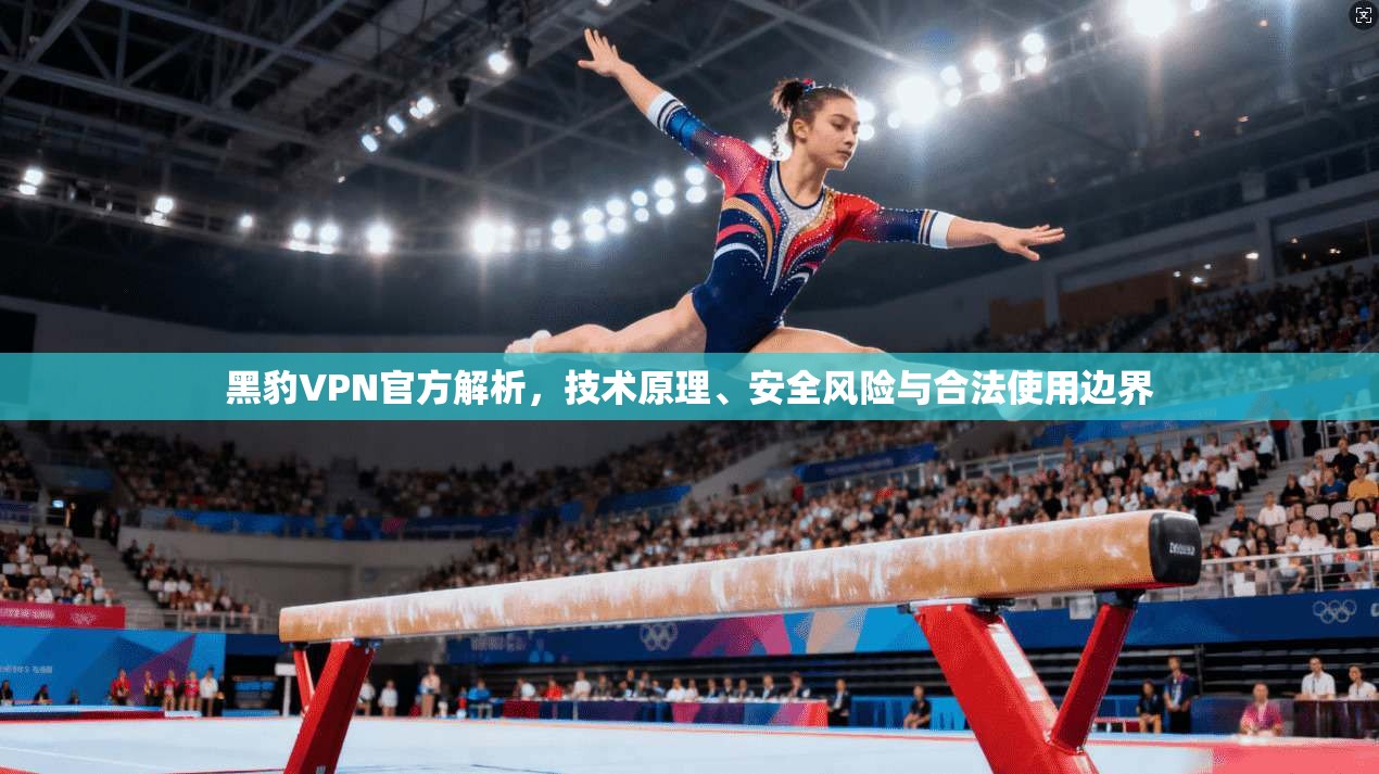 黑豹VPN官方解析，技术原理、安全风险与合法使用边界