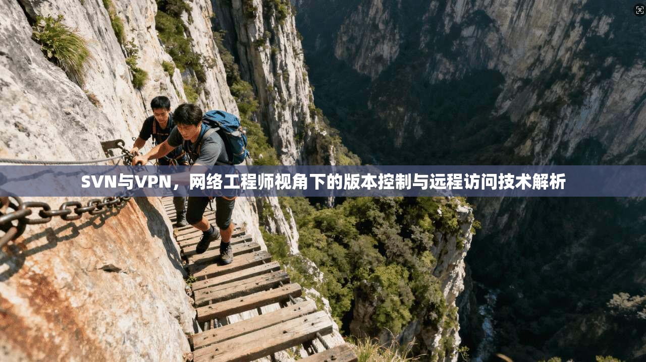 SVN与VPN，网络工程师视角下的版本控制与远程访问技术解析