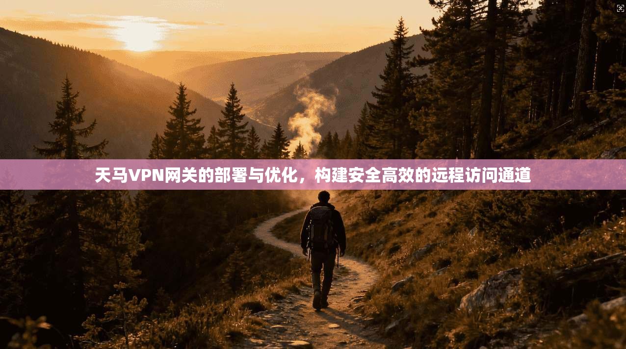 天马VPN网关的部署与优化，构建安全高效的远程访问通道