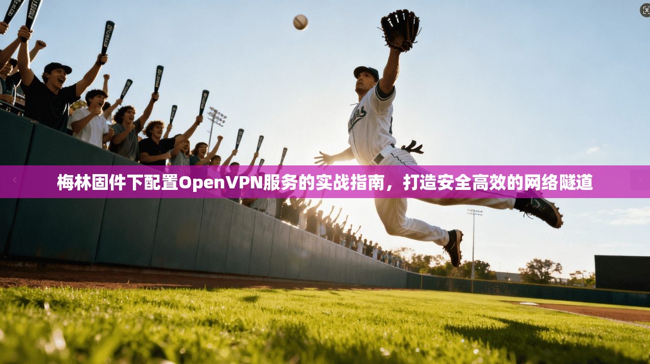 梅林固件下配置OpenVPN服务的实战指南，打造安全高效的网络隧道