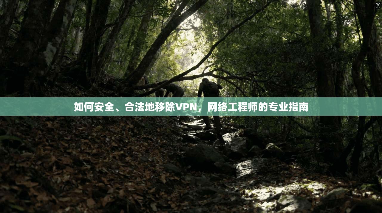 如何安全、合法地移除VPN，网络工程师的专业指南