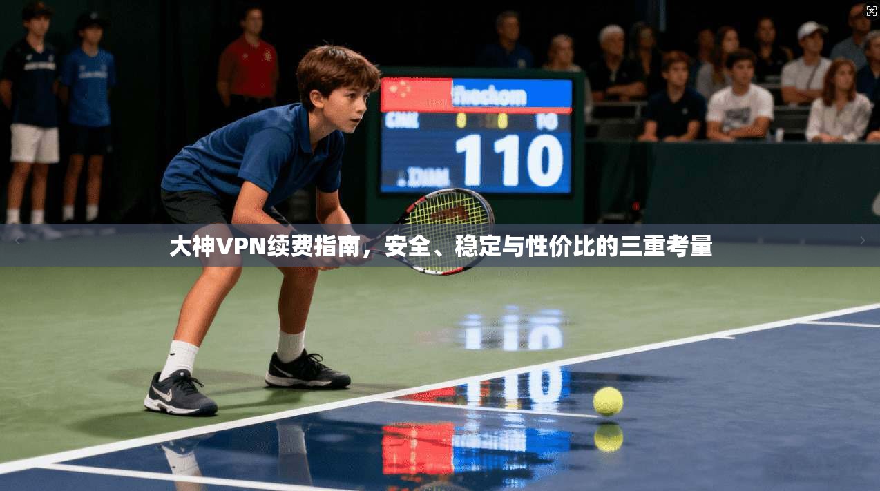 大神VPN续费指南，安全、稳定与性价比的三重考量