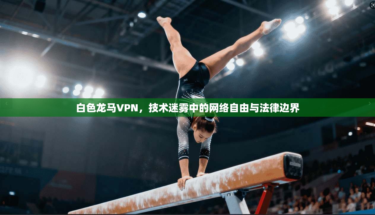 白色龙马VPN，技术迷雾中的网络自由与法律边界