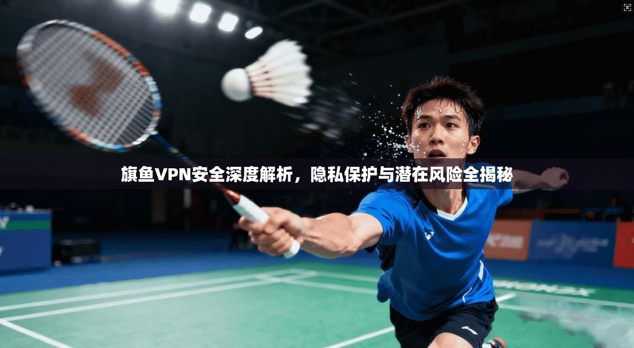 旗鱼VPN安全深度解析，隐私保护与潜在风险全揭秘