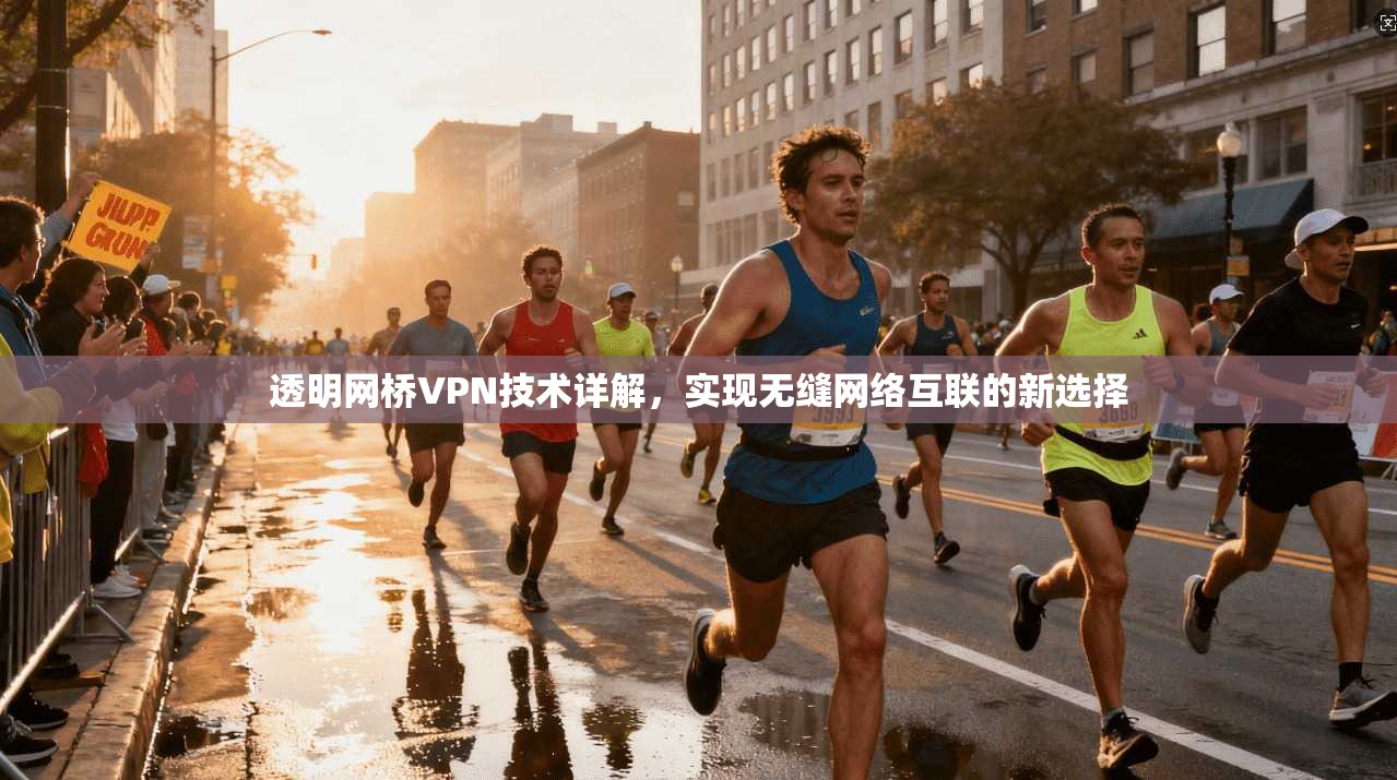 透明网桥VPN技术详解，实现无缝网络互联的新选择