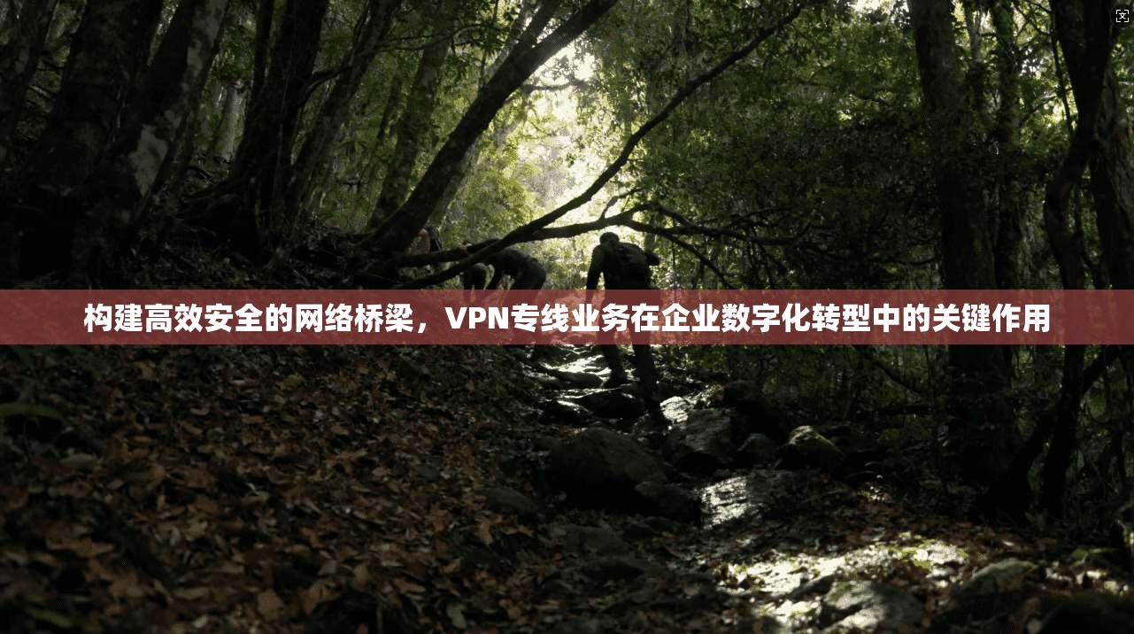 构建高效安全的网络桥梁，VPN专线业务在企业数字化转型中的关键作用