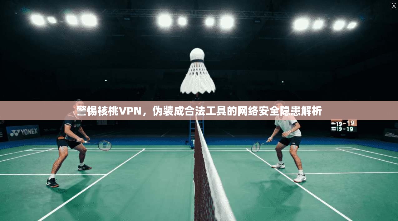 警惕核桃VPN,伪装成合法工具的网络安全隐患解析