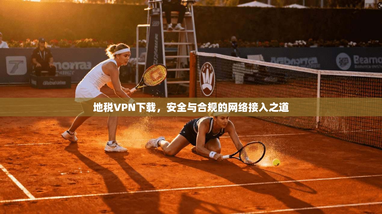 地税VPN下载，安全与合规的网络接入之道