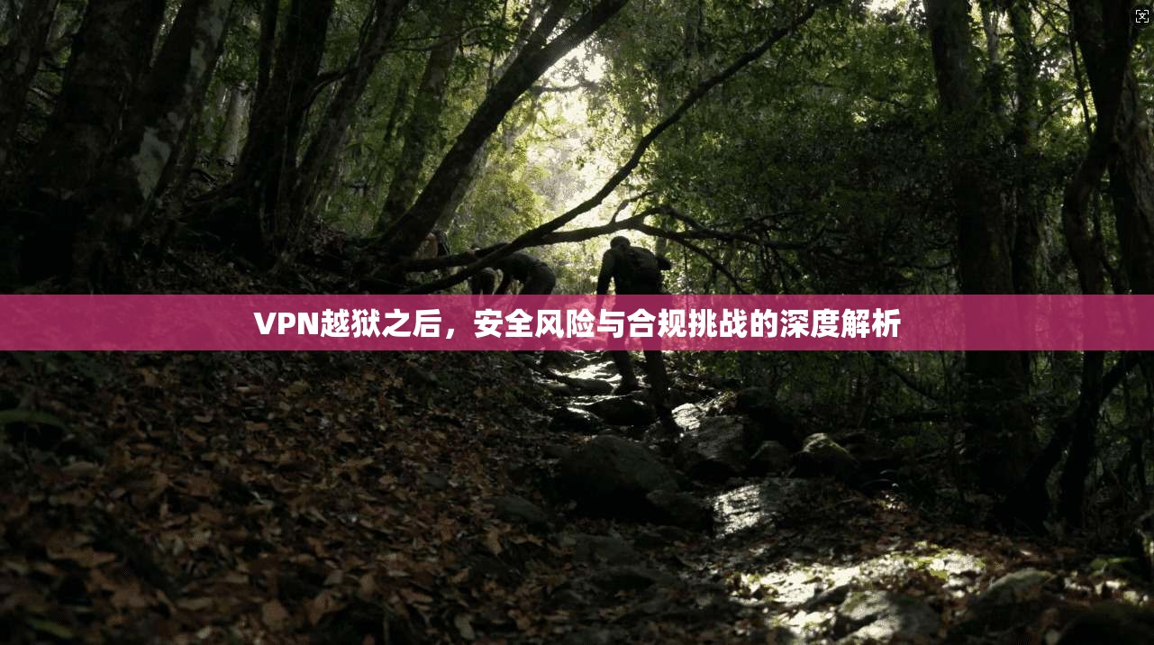 VPN越狱之后，安全风险与合规挑战的深度解析