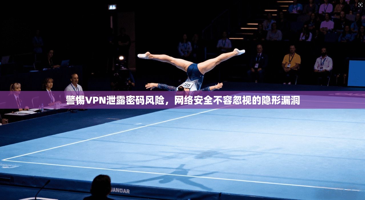 警惕VPN泄露密码风险，网络安全不容忽视的隐形漏洞