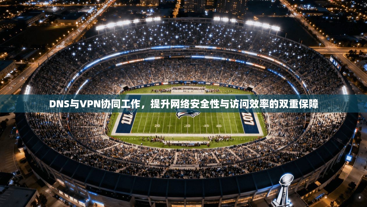 DNS与VPN协同工作，提升网络安全性与访问效率的双重保障