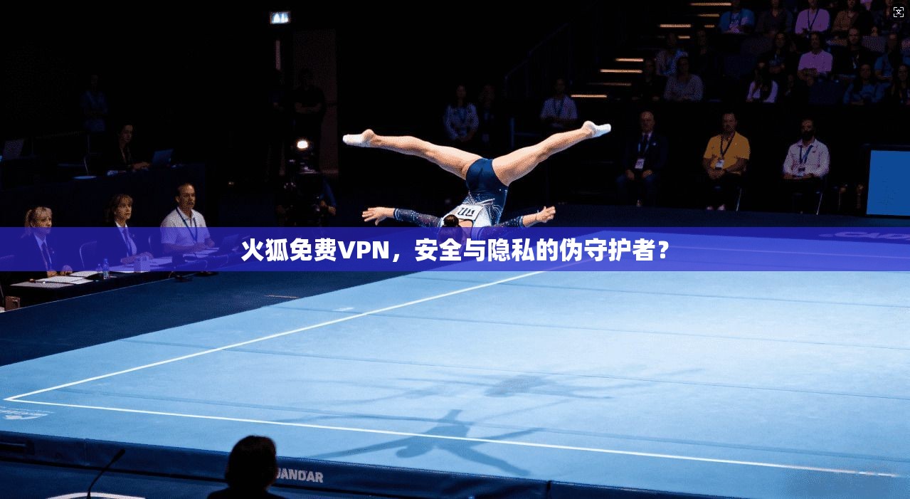 火狐免费VPN，安全与隐私的伪守护者？