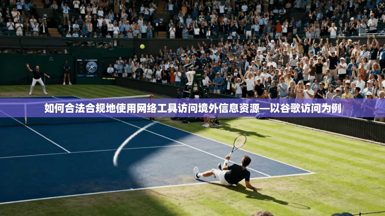 如何合法合规地使用网络工具访问境外信息资源—以谷歌访问为例