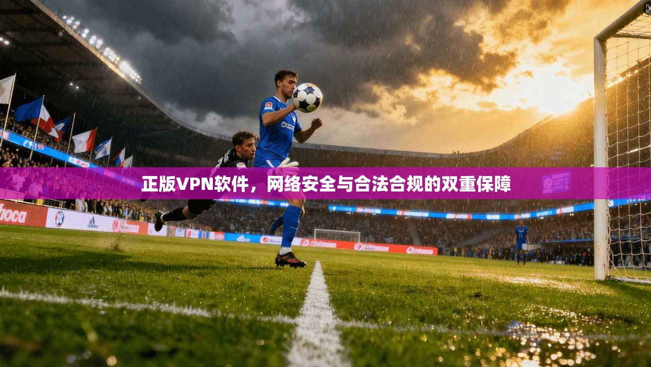 正版VPN软件，网络安全与合法合规的双重保障